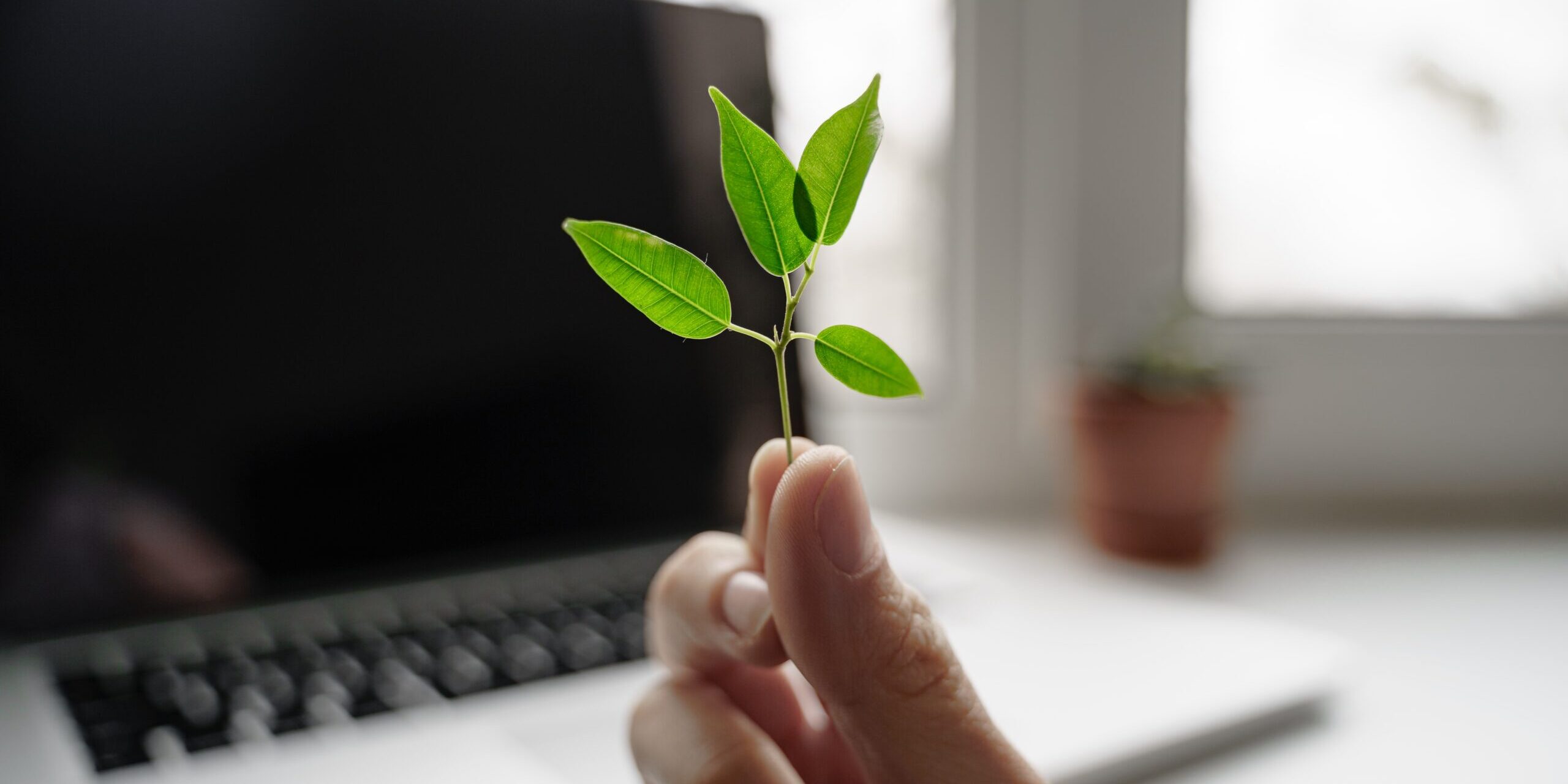 E – waste concept Rifiuti di apparecchiature elettriche ed elettroniche